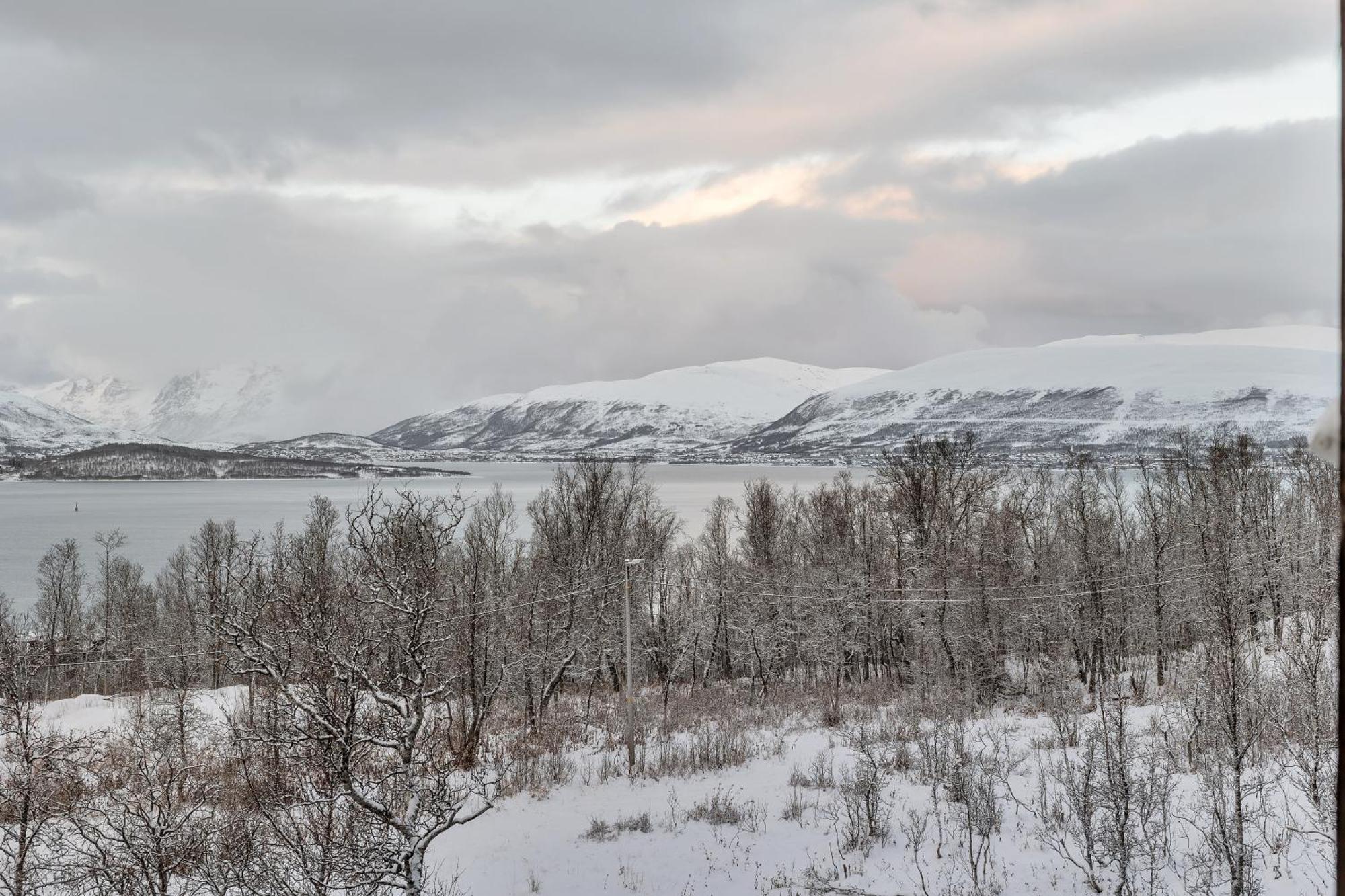 Aurora View * Tromsø